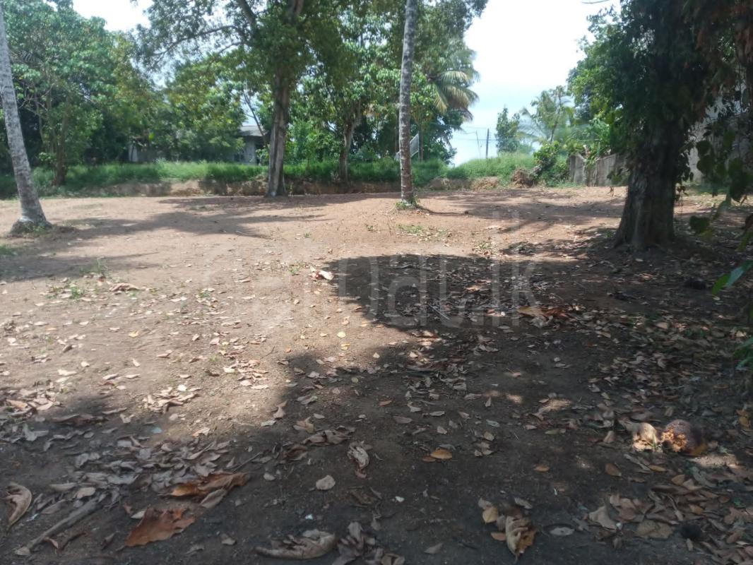 Commercial Land for Sale in Nittambuwa