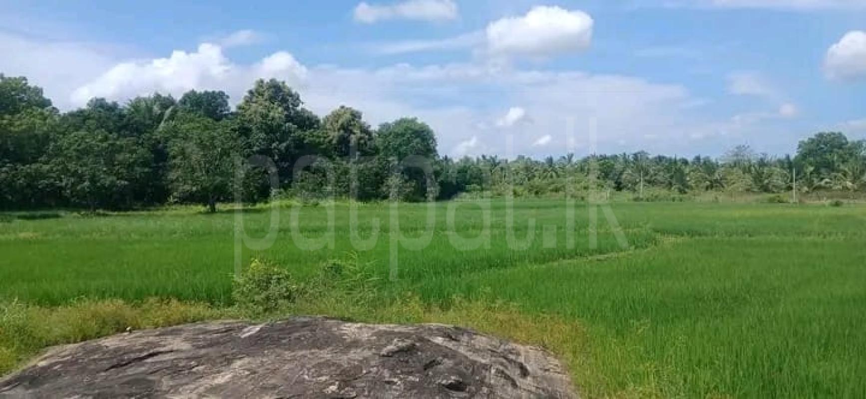 Commercial Land for Sale in Kataragama ads-image-1