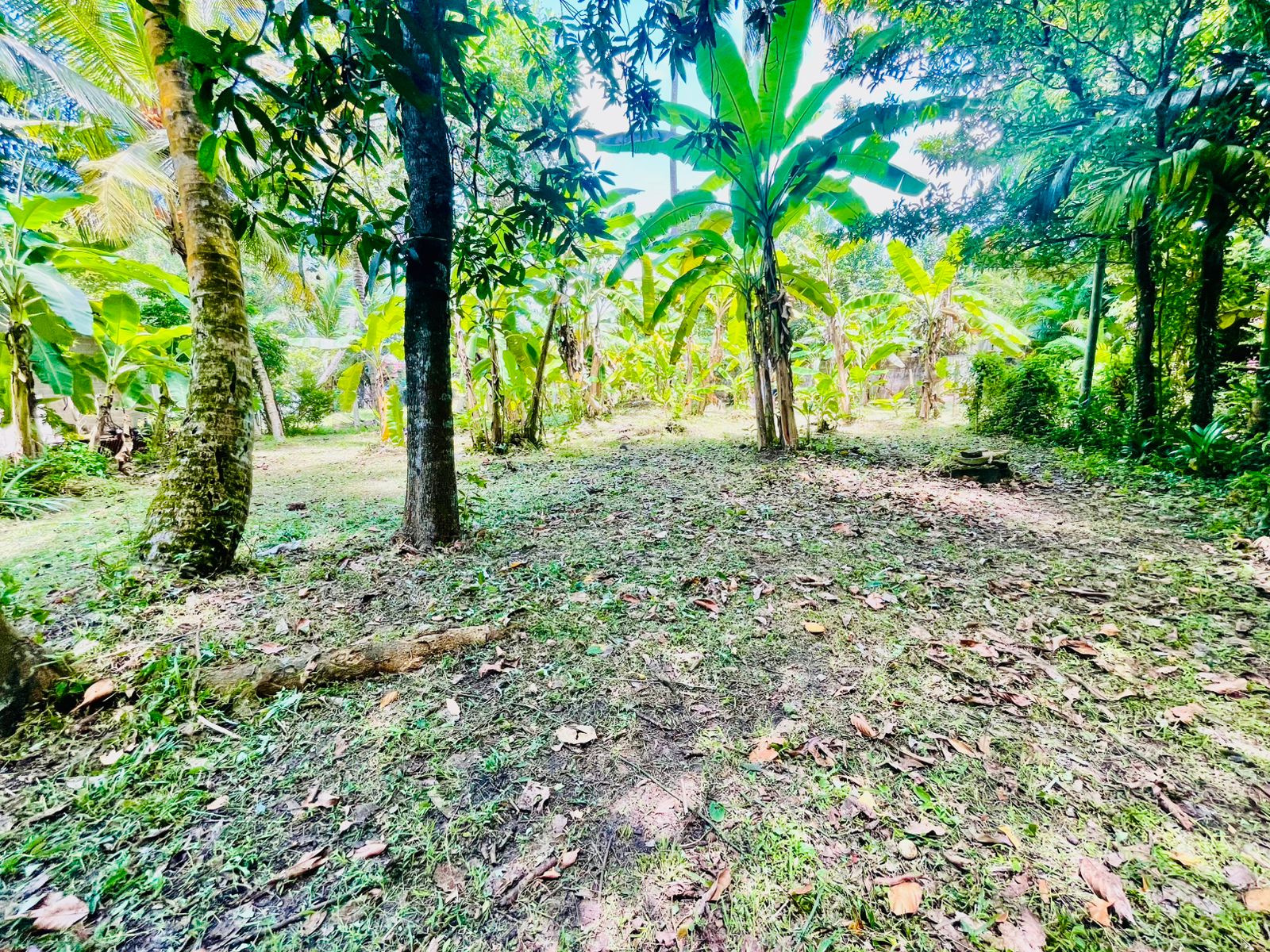 Commercial Land for Rent in Ja-Ela