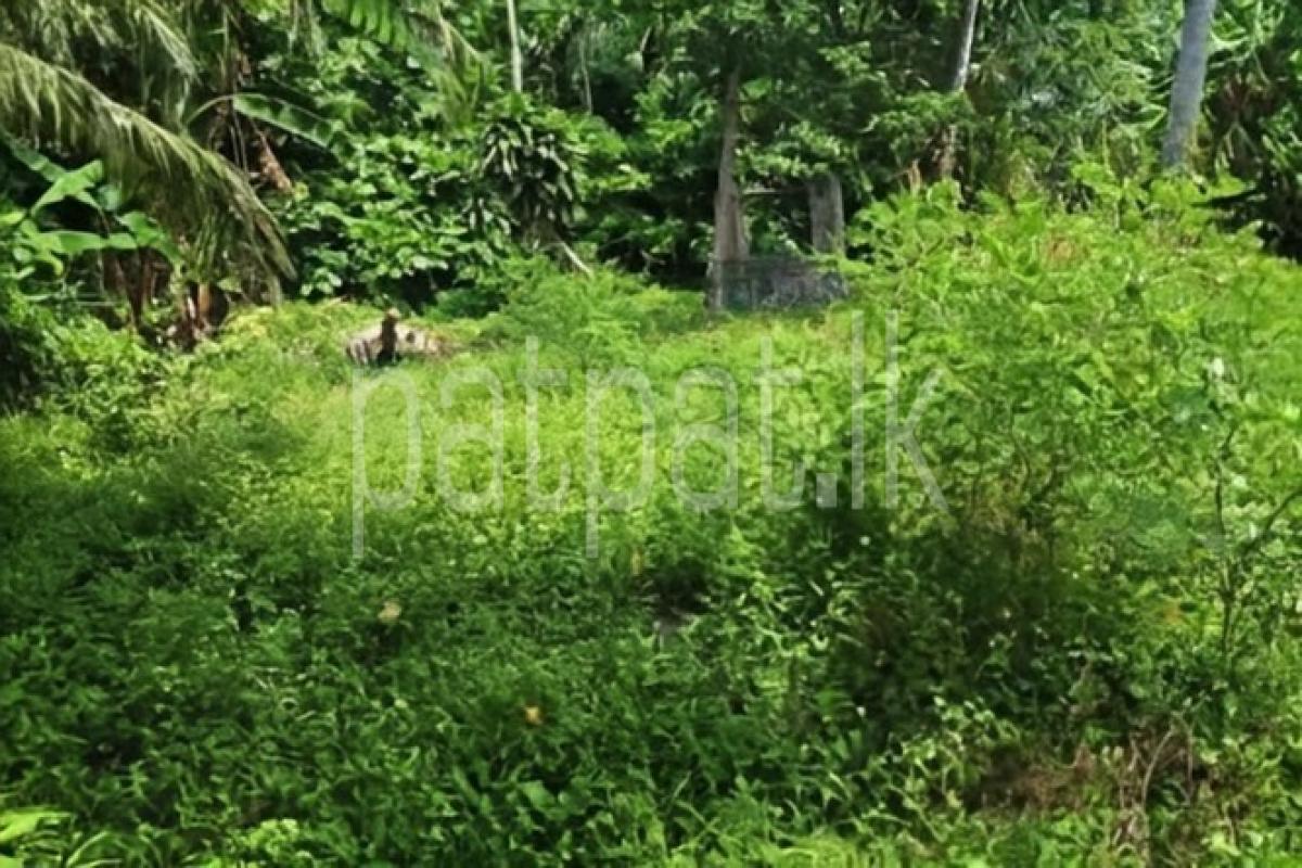 Advertisement image 1