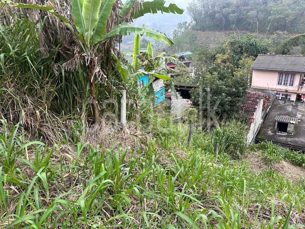 Commercial Land for Sale in Bandarawela