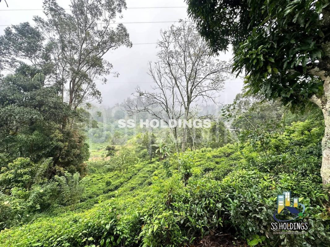 Commercial Land for Sale in Bandarawela