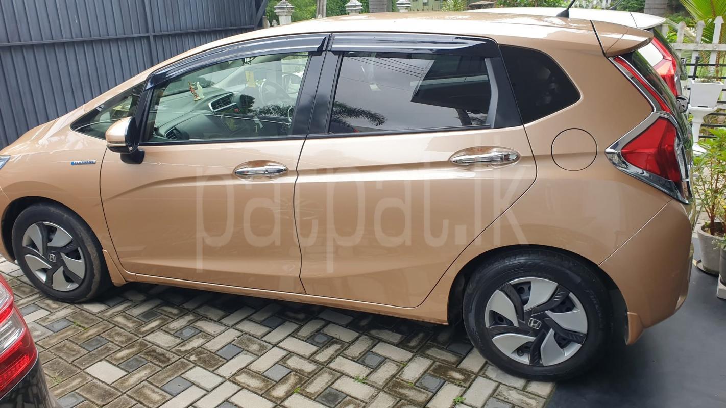 Advertisement image 5