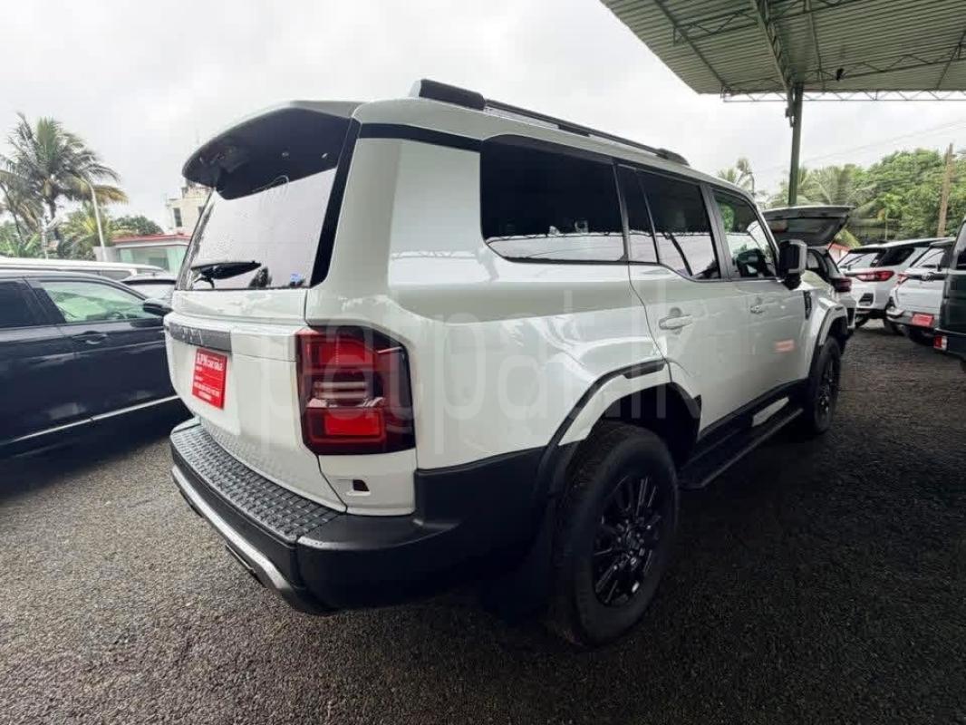 Advertisement image 2