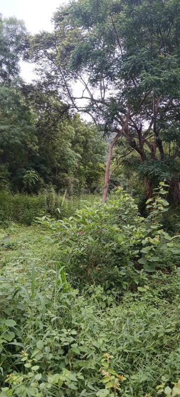 Residential Land for Sale in Kataragama