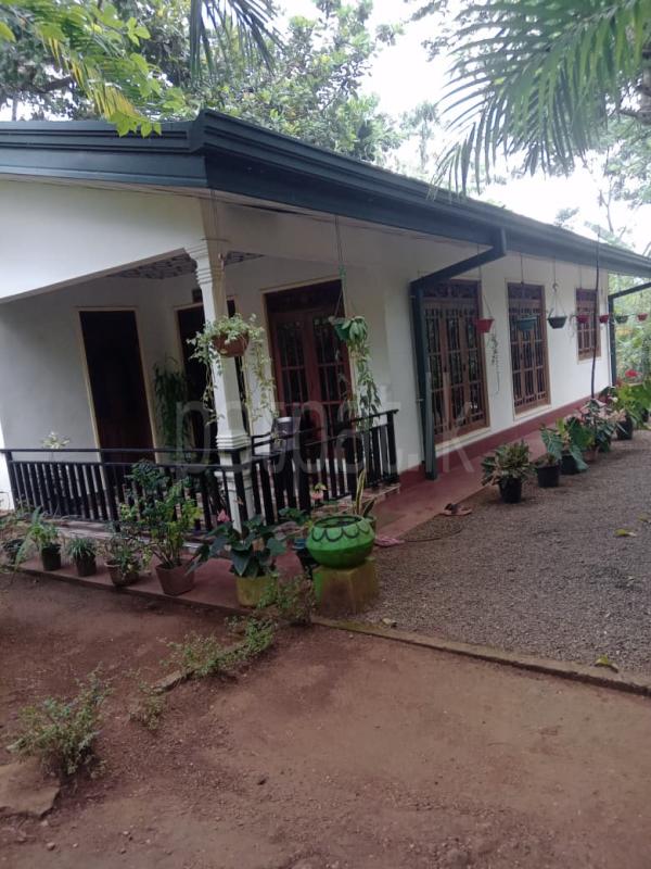 House for Sale in Damunupola