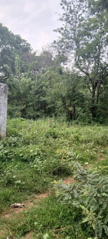 Residential Land for Sale in Kataragama