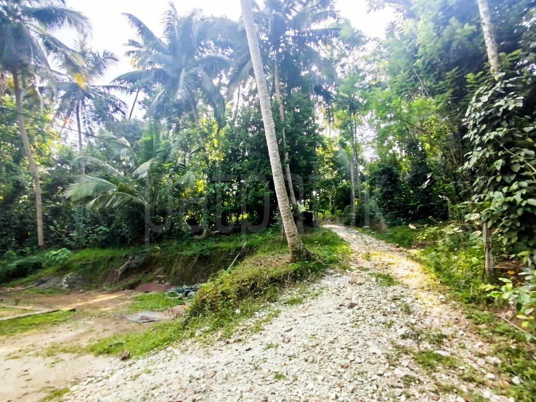 Residential Land for Sale in Menikhinna