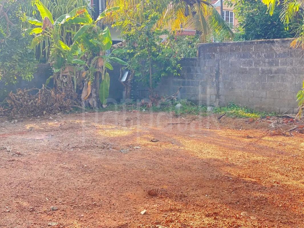 Commercial Land for Sale in Kandana