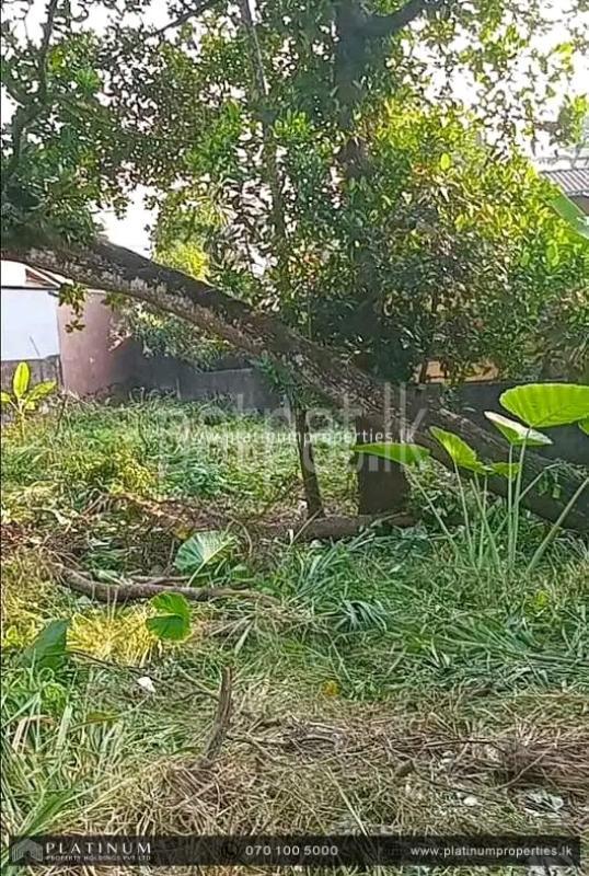 Residential Land for Sale in Panadura