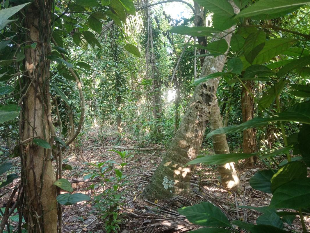 Advertisement image 1