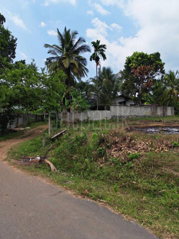 Residential Land for Sale in Horana