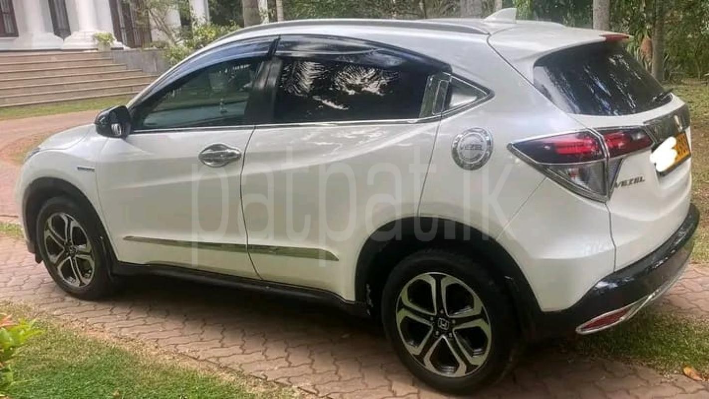 Advertisement image 4