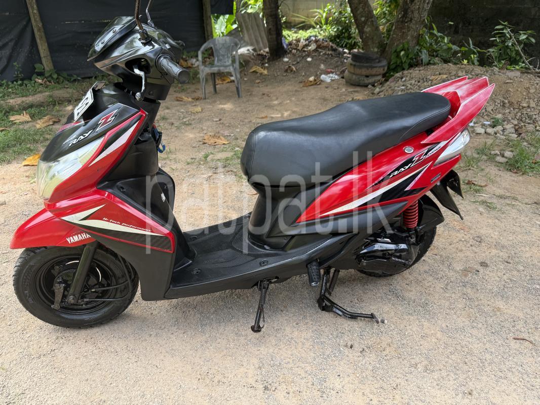 Advertisement image 5