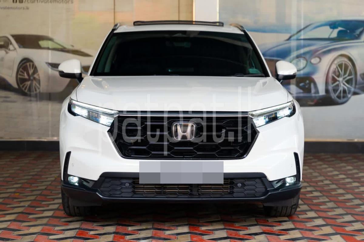 Advertisement image 3