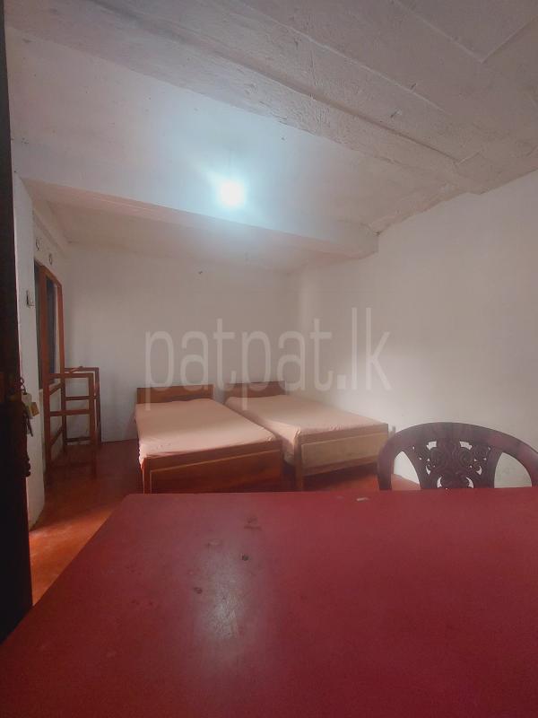 Room for Rent in Peradeniya