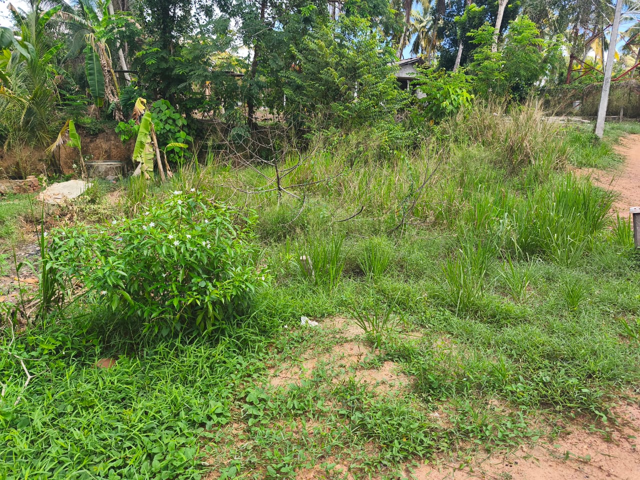 Residential Land for Sale in Kadawatha ads-image-1