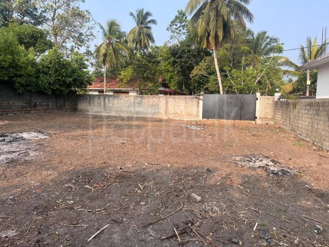 Commercial Land for Sale in Waskaduwa ads-image-1