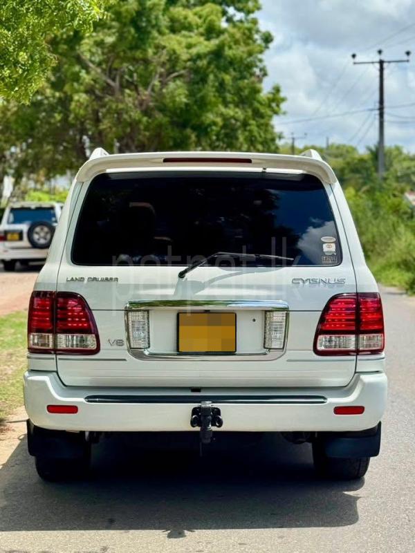 Advertisement image 6