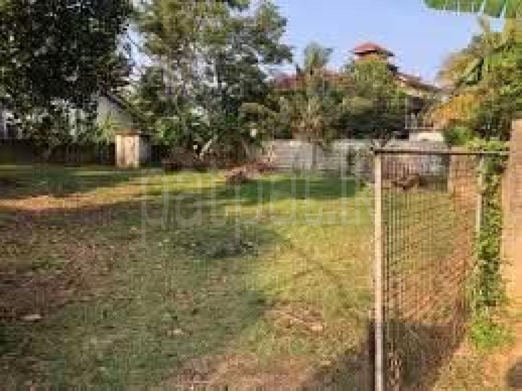 Agricultural Land for Sale in Negombo