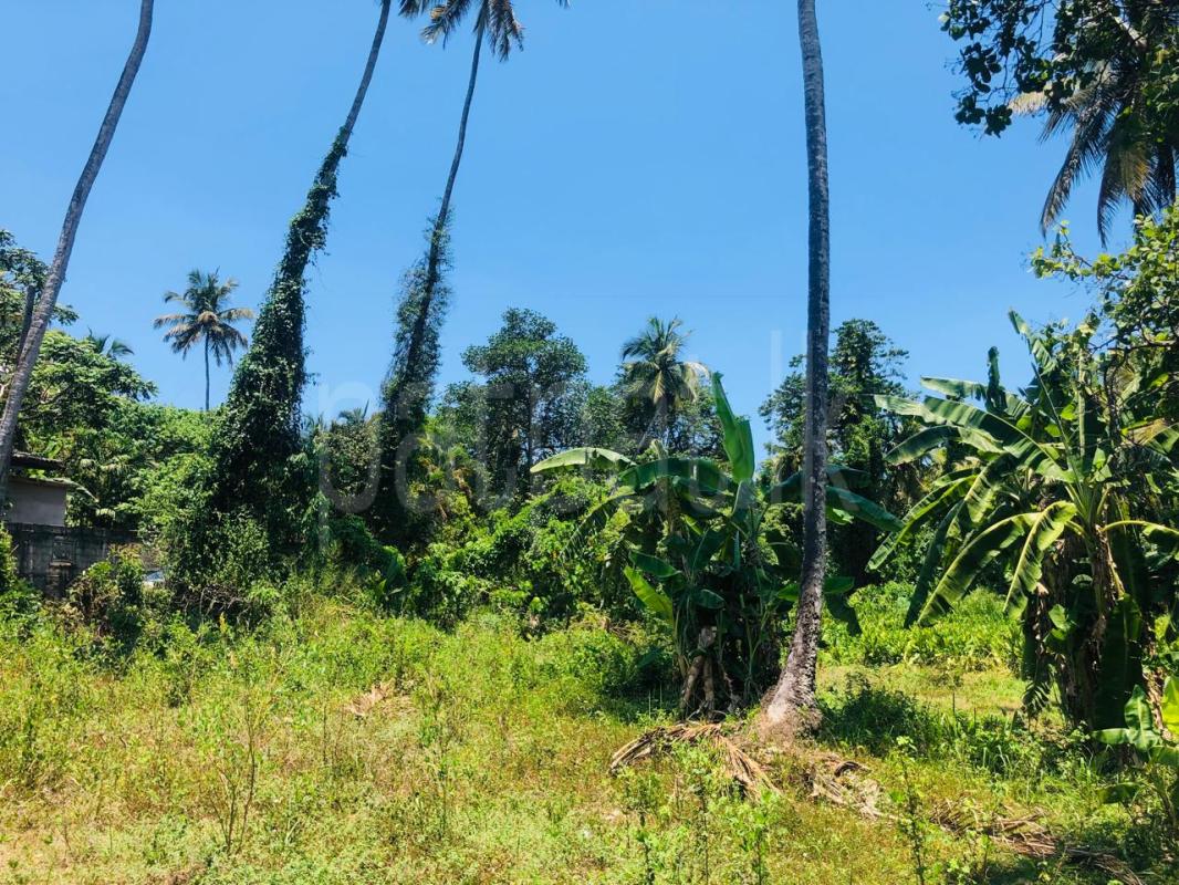  Land for Sale in Ekala