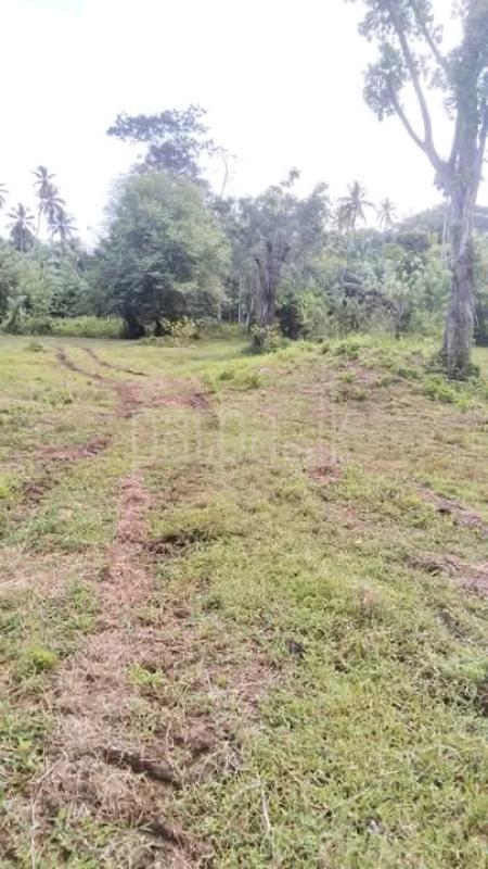 Commercial Land for Sale in Kurunegala