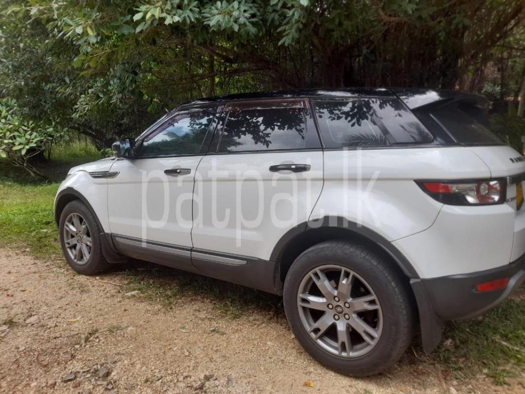 Advertisement image 3