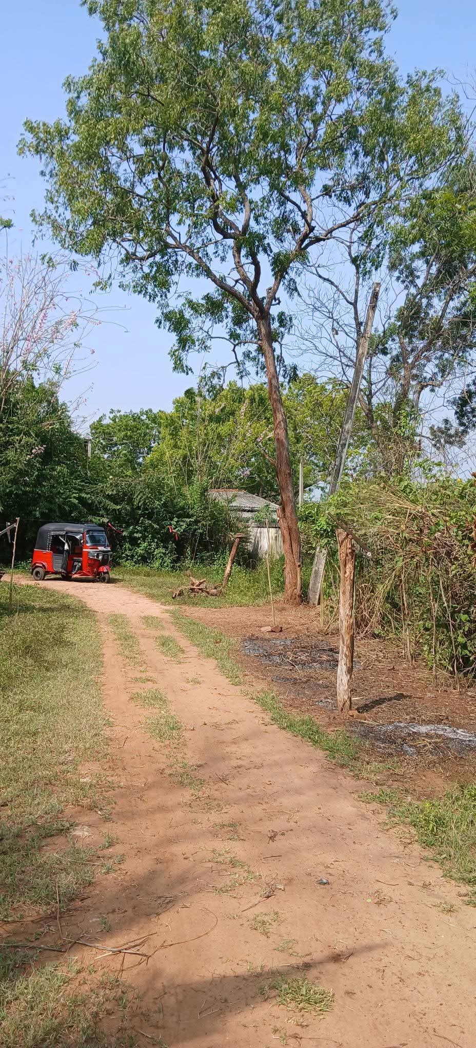 Residential Land for Sale in Kataragama