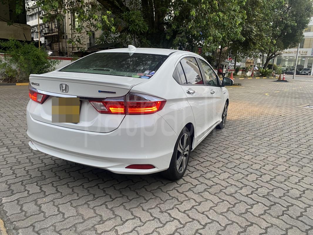 Advertisement image 3