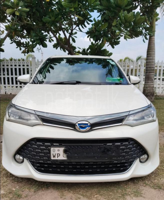 Advertisement image 1