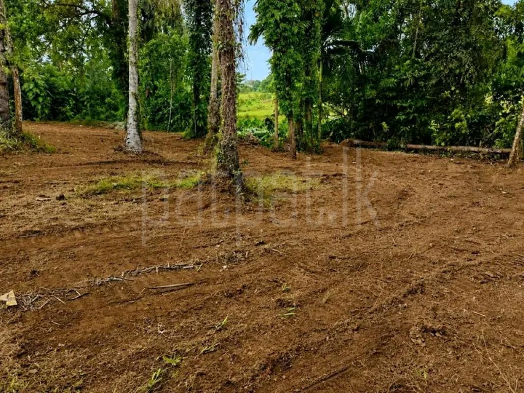 Commercial Land for Sale in Kadawatha
