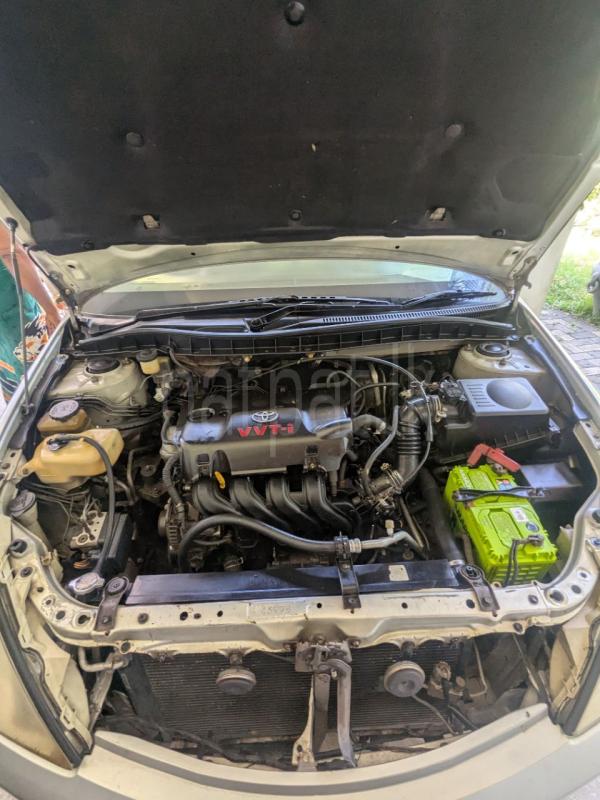 Advertisement image 6