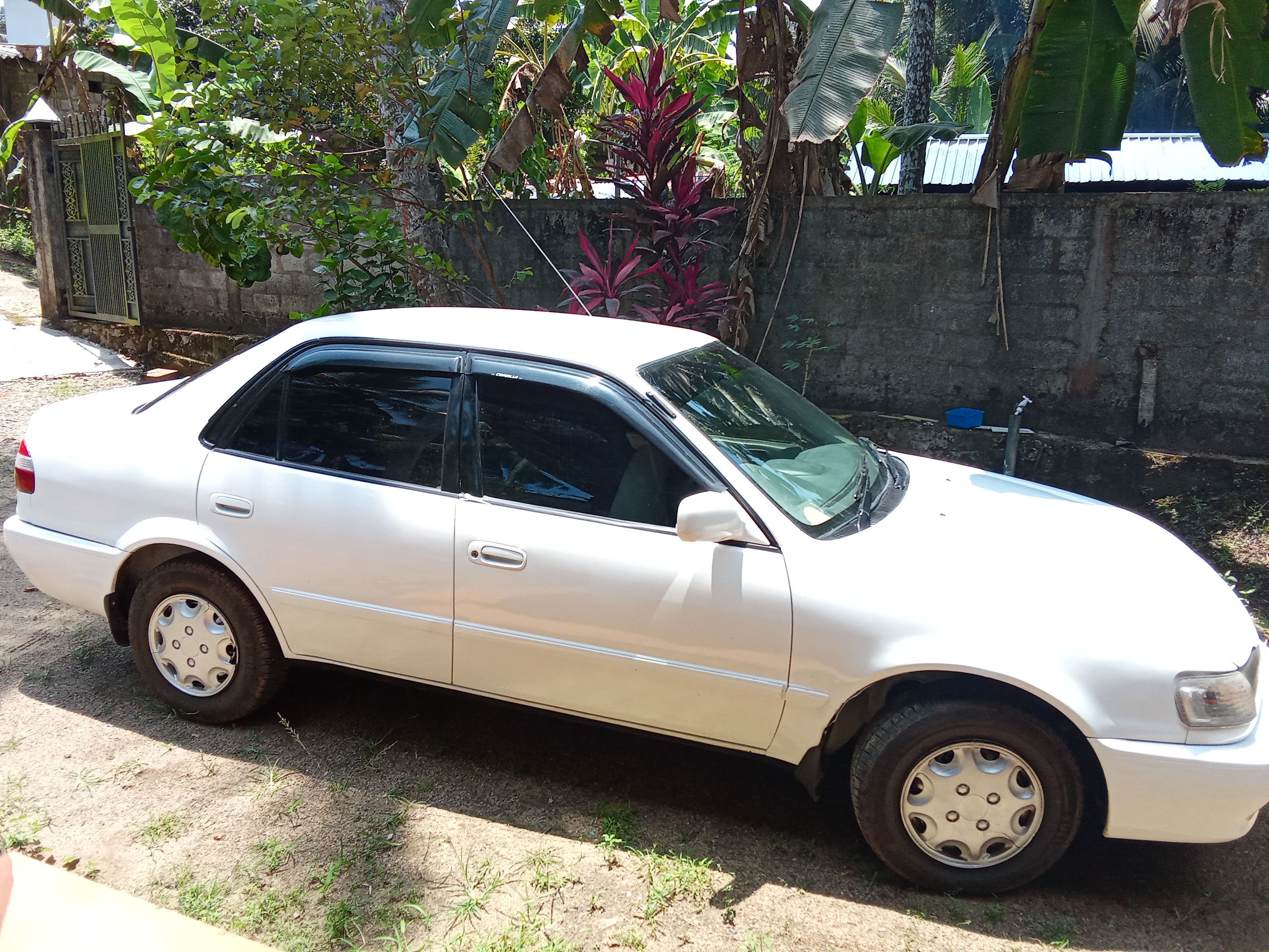 Advertisement image 4