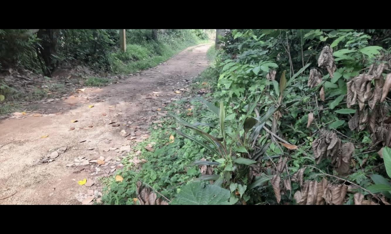 Agricultural Land for Sale in Wanchawela