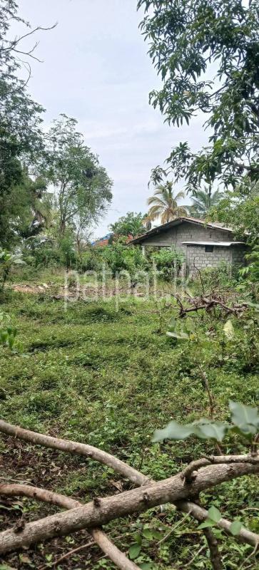 Residential Land for Sale in Kataragama