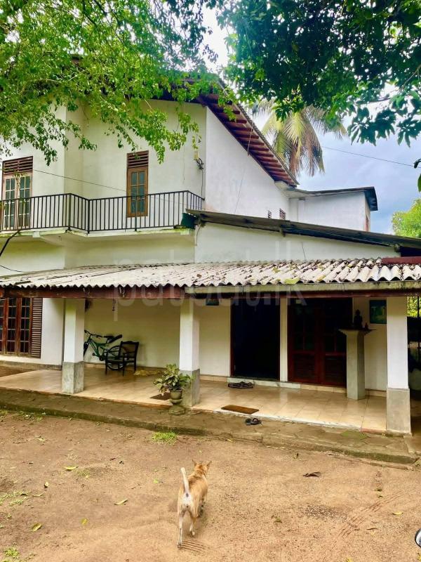 House for Sale in Delgoda