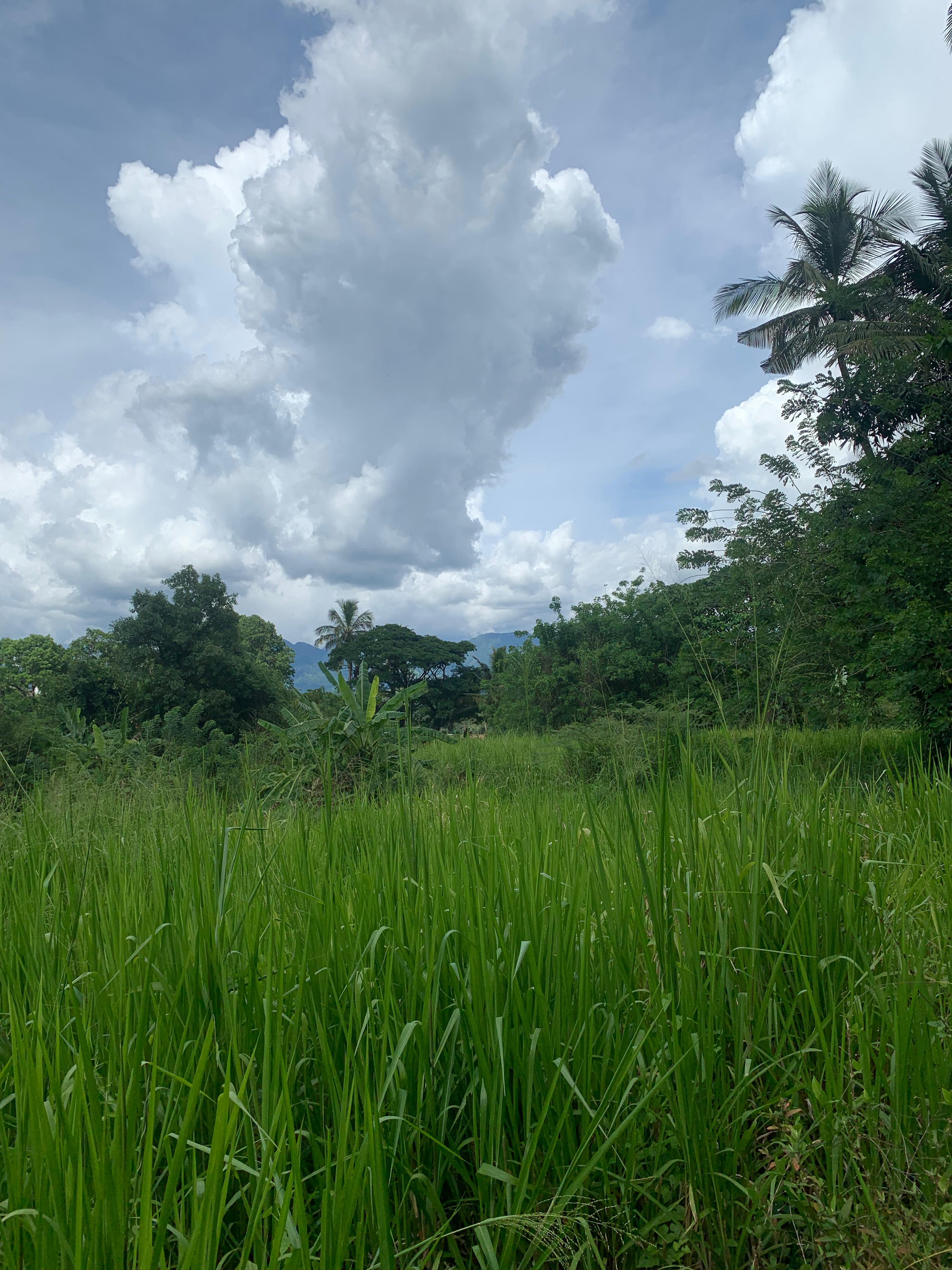 Residential Land for Sale in Matale