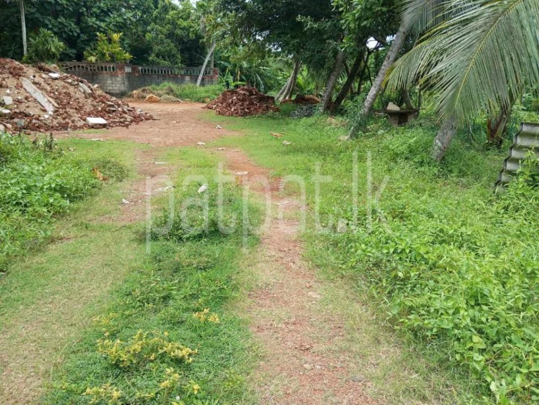 Advertisement image 6