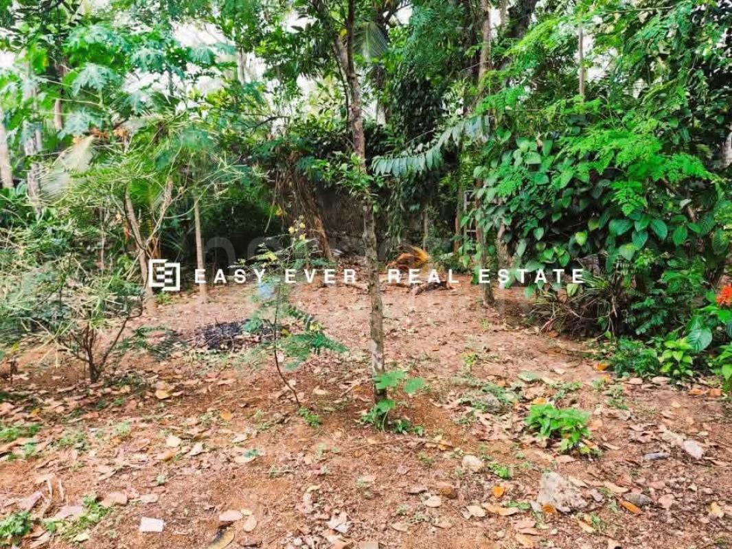 Residential Land for Sale in Yakkala