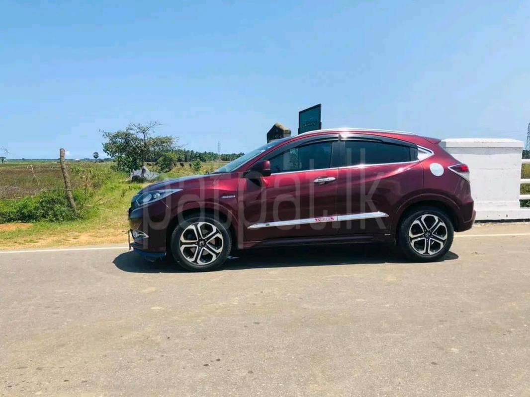 Advertisement image 6