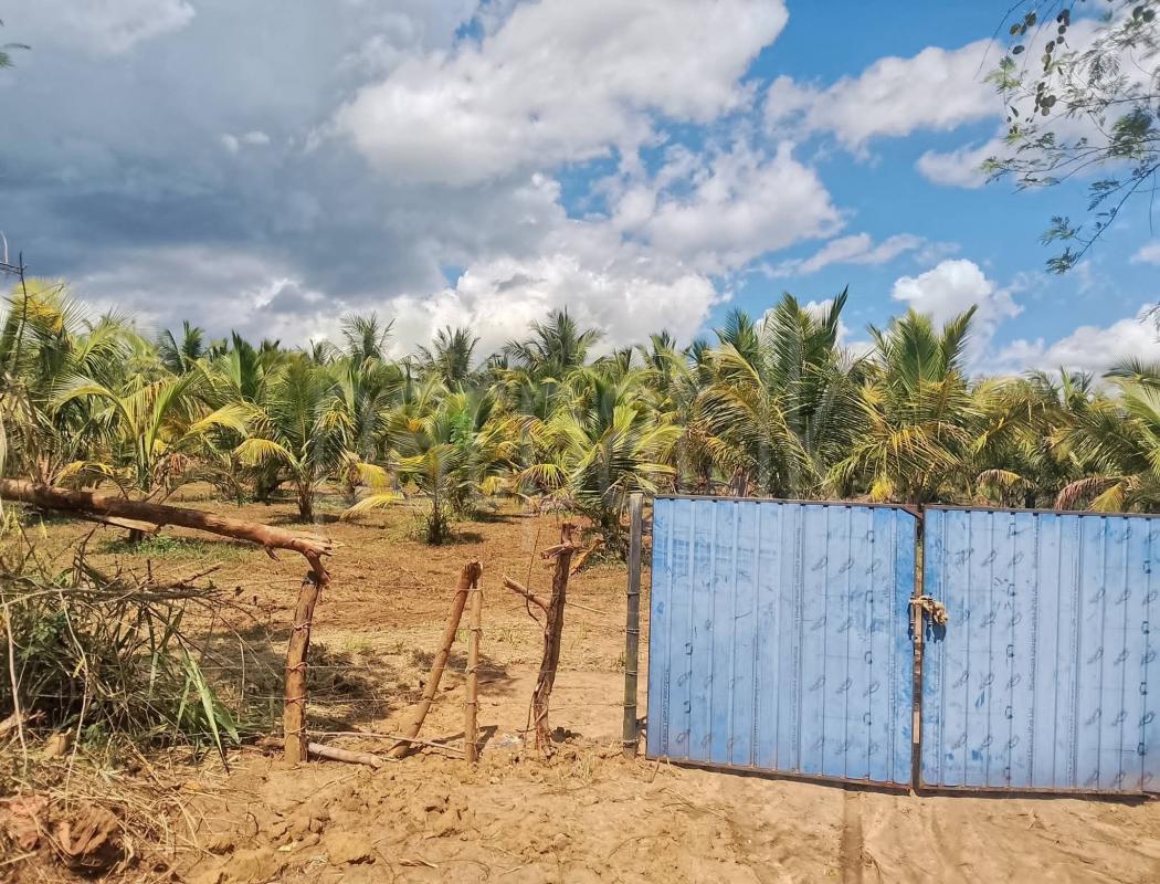 Agricultural Land for Sale in Embilipitiya