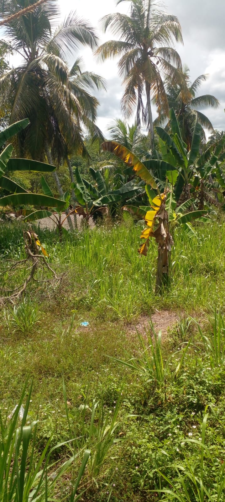 Residential Land for Sale in Kalutara