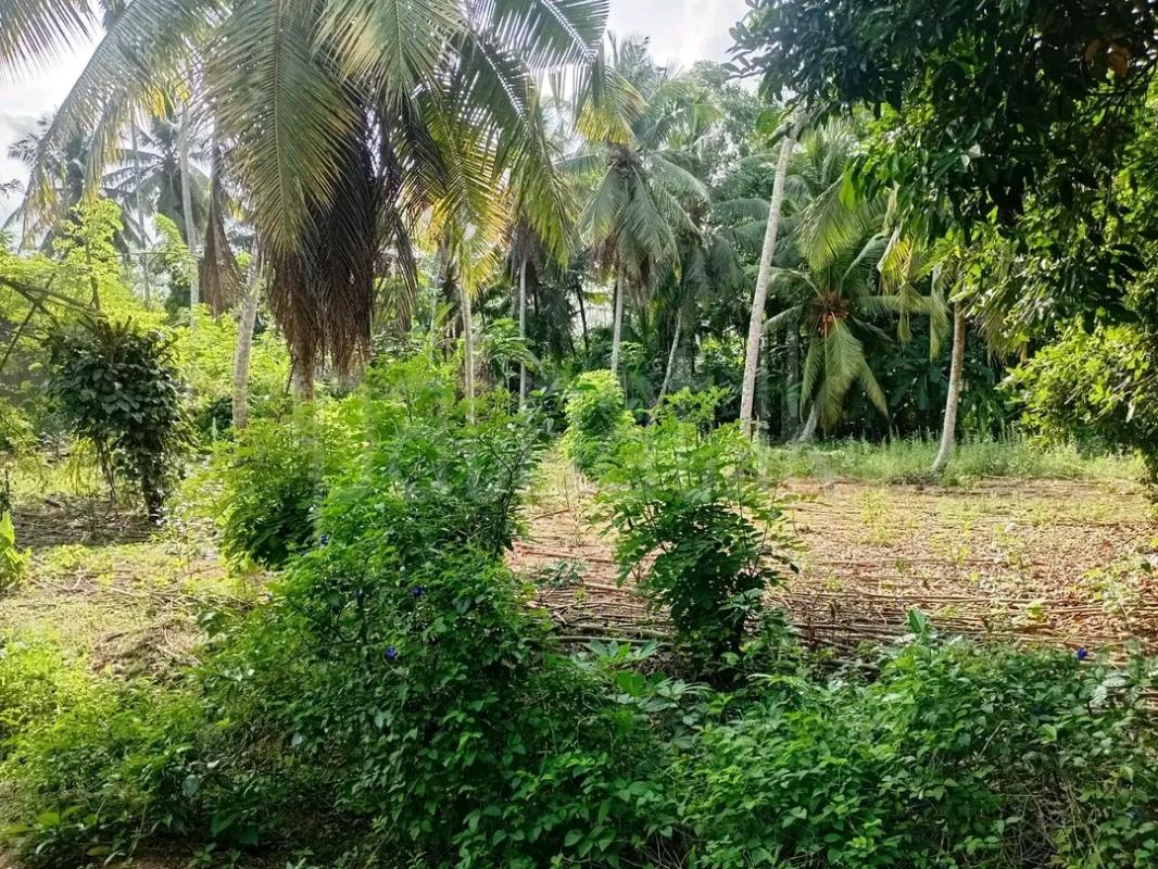 House for Sale in Horana