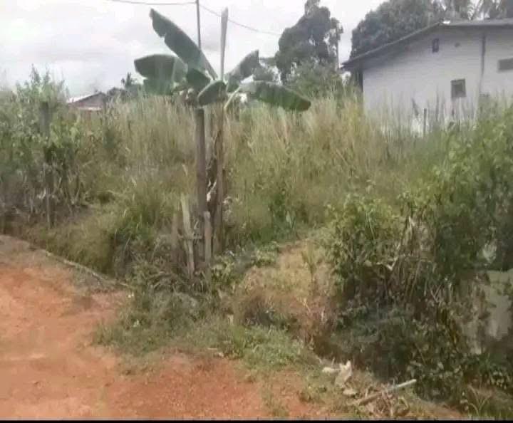 Residential Land for Sale in Kahathuduwa