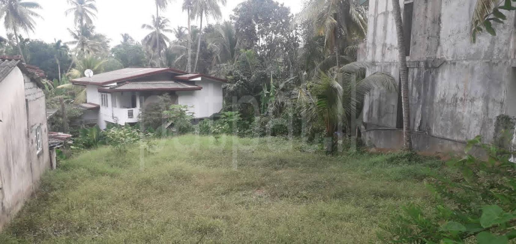 Commercial Land for Sale in Pannipitiya