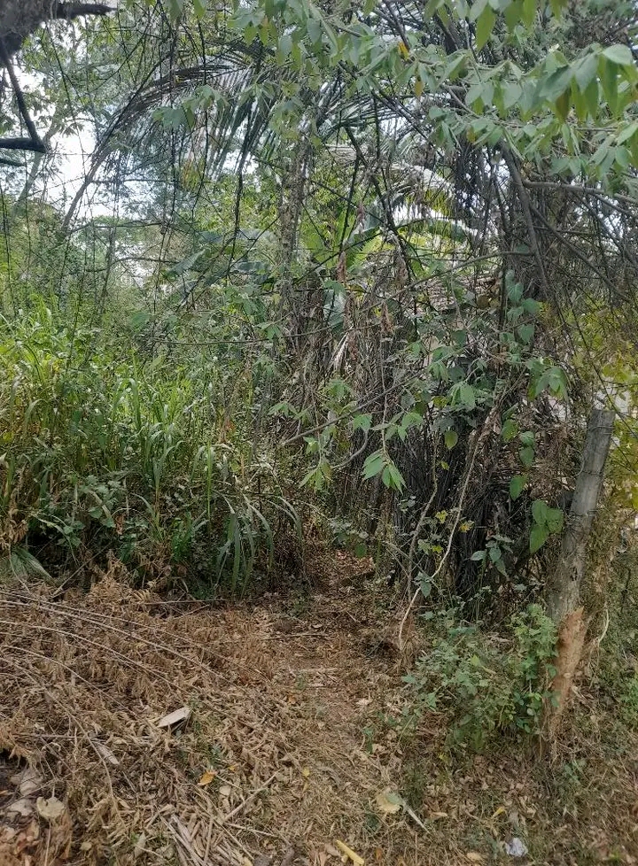 Residential Land for Sale in Ranna