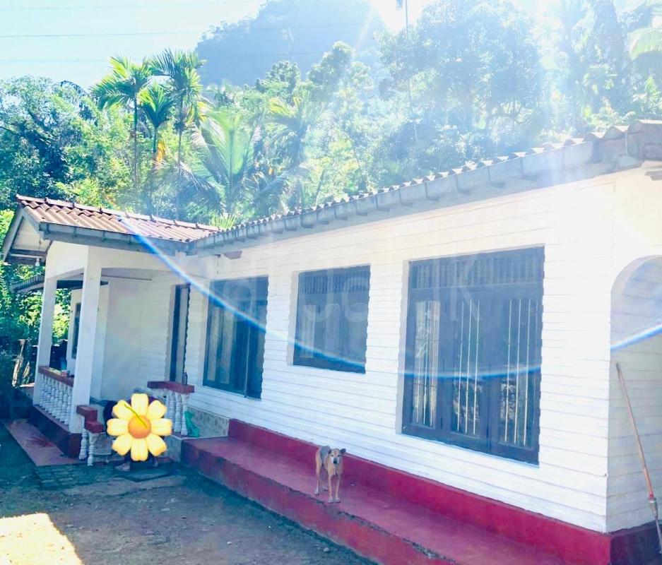 House for Sale in Ginigathhena ads-image-1