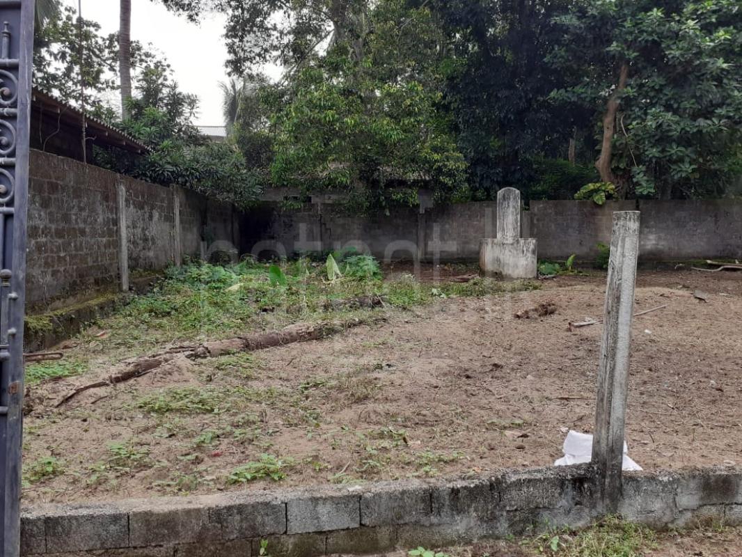 premium-listing-image