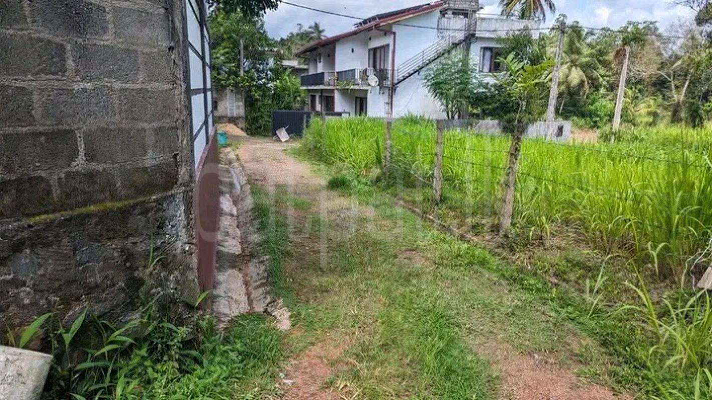 Agricultural Land for Sale in Kalagedihena ads-image-1