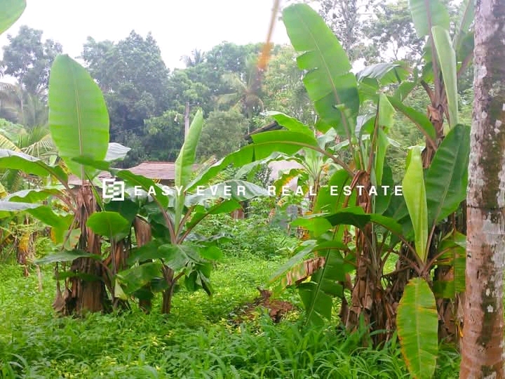Commercial Land for Sale in Divulapitiya